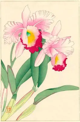 bangkok-tattoo-japanese-flower-mening-orchid