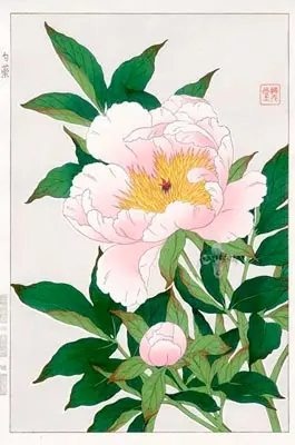 bangkok-tattoo-japanese-flower-mening-peony