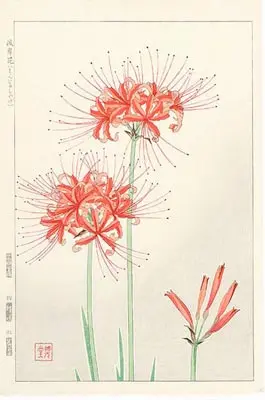 bangkok-tattoo-japanese-flower-mening-red-spider-lilybangkok-tattoo-japanese-flower-mening-red-spider-lily