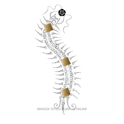centipede