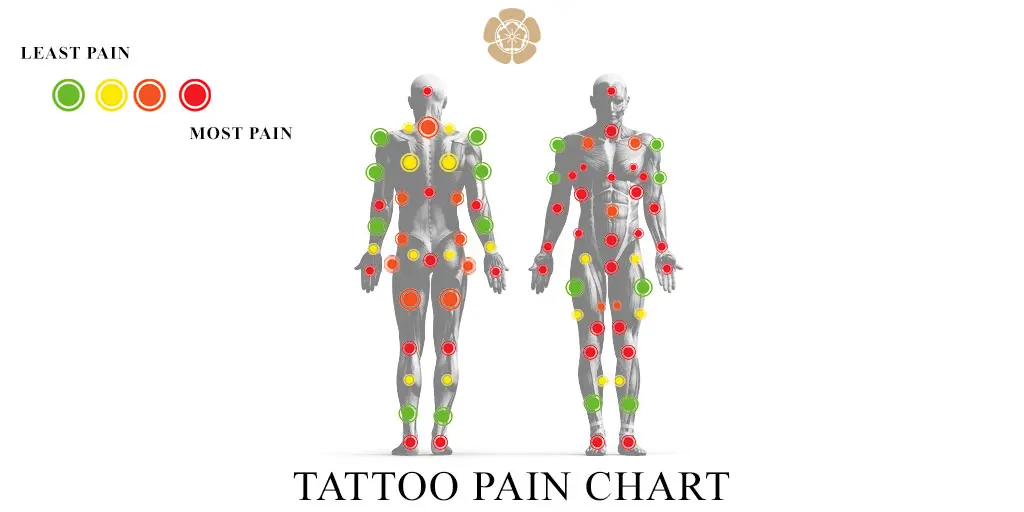 tattoo-pain-chart-bangkok-thailand